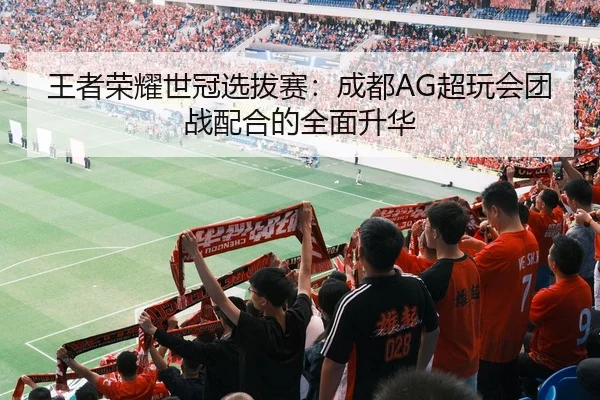 王者荣耀世冠选拔赛：成都AG超玩会团战配合的全面升华